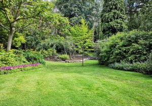 Optimiser l'expérience du jardin à Châteauneuf